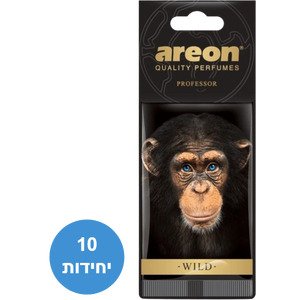 328825.jpg עץ ריח Areon Wild Professor סט 10 יח'